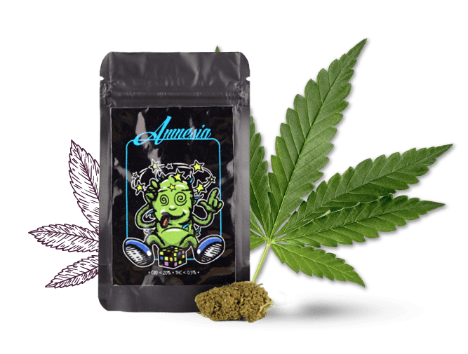 AMNESIA-HEMPLIFE-min