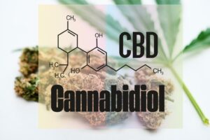 cannabis - il cannabidiolo