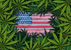 LEGALIZZAZIONE DELLA CANNABIS USA